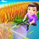grass-land